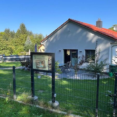 Ferienhaus Hinz Darlingerode Exterior foto